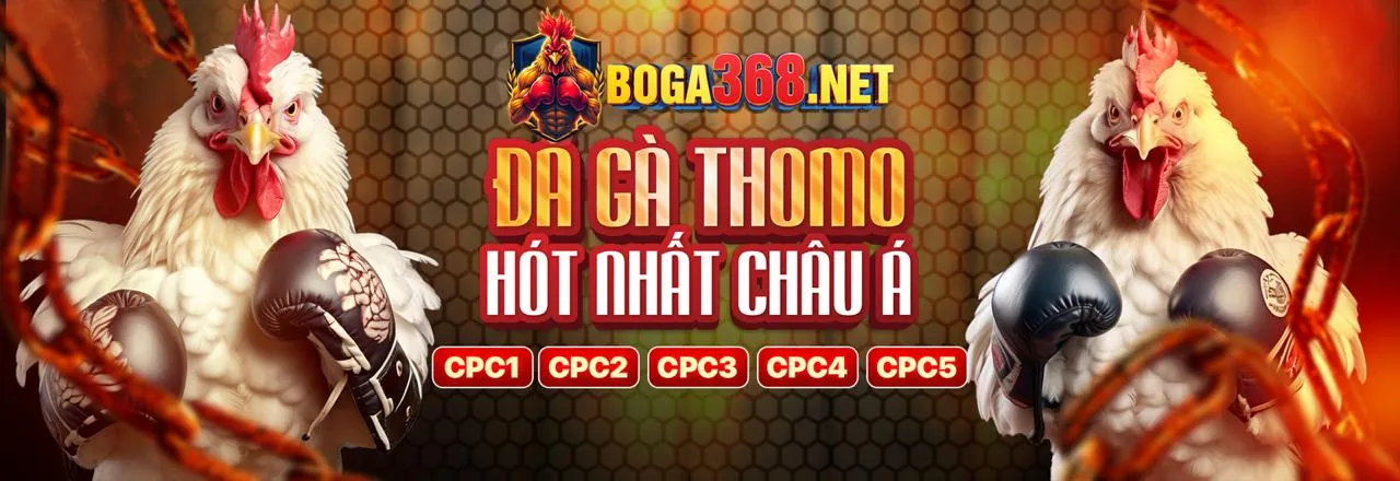 Cờ bạc có trách nhiệm tại Vmax88